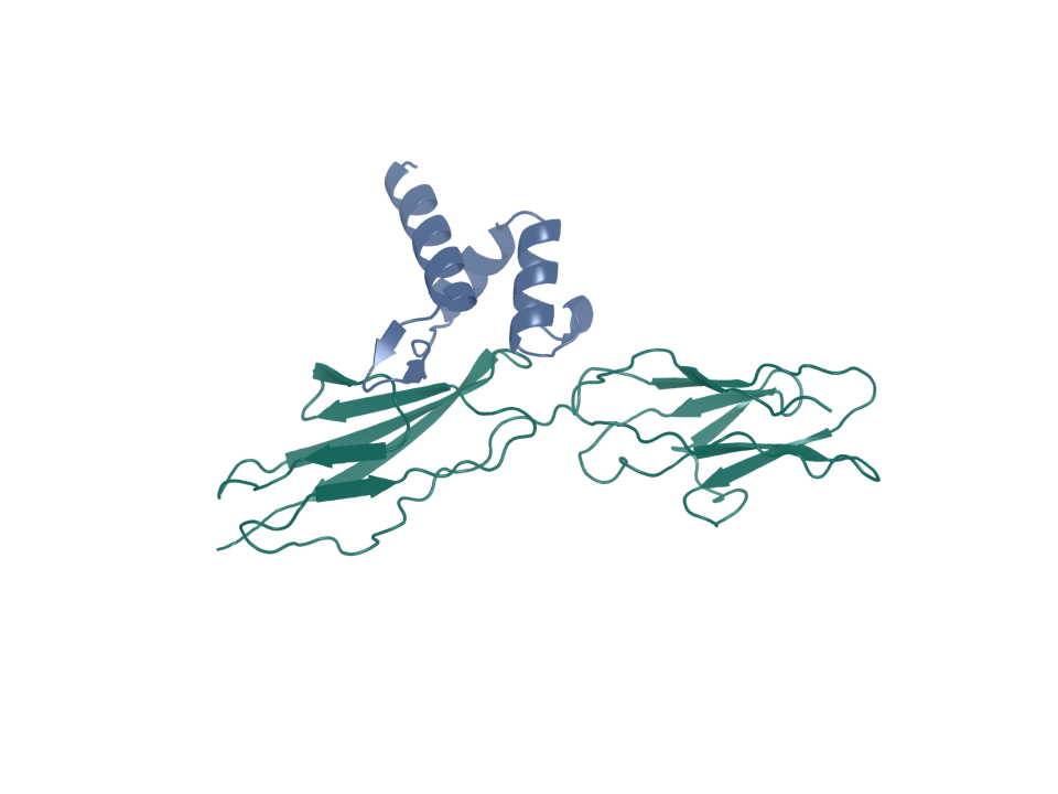 Generated design pose from the original four-arm campaign. This candidate was later screened in the three-arm checkpoint; the checkpoint failed its control check and no candidate was promoted.