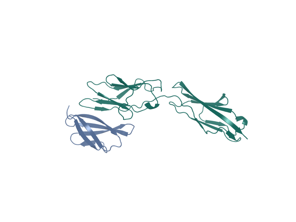 Generated design pose. CEACAM5 target (chain A); binder boltzgen-000 (chain B). Source status: generated. Screening state: not run; four-arm join incomplete. Ranking: unranked.