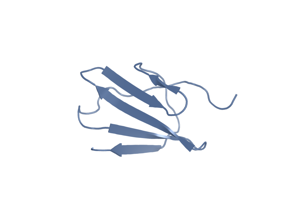 Predicted fold of the generated sequence (chain B). The ESMFold2 request included the target sequence but did not specify a binding site. The candidate chain is shown in isolation.