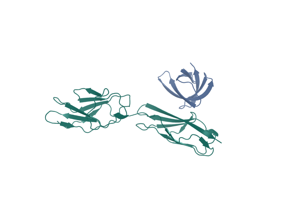 Generated design pose. CEACAM5 target (chain A); binder boltzgen-000 (chain B). Source status: generated. Screening state: not run; four-arm join incomplete. Ranking: unranked.