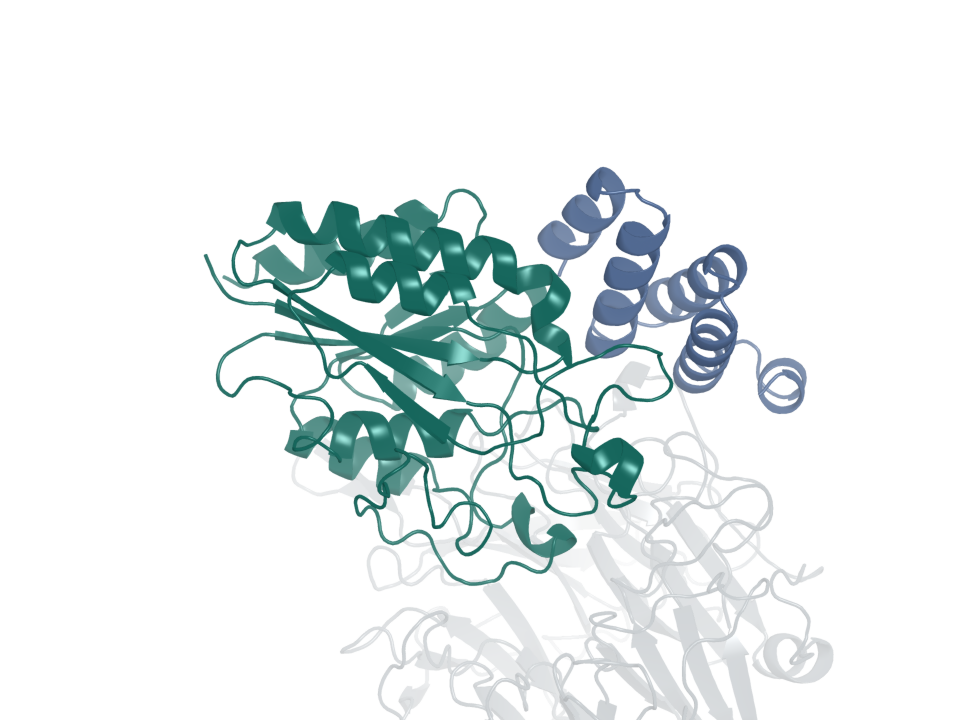 Integrin binder · design 7B. Blue: generated protein binder. Green: integrin β6. Gray: integrin αv.