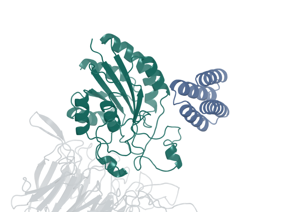 Integrin binder · design 6A. Blue: generated protein binder. Green: integrin β6. Gray: integrin αv.