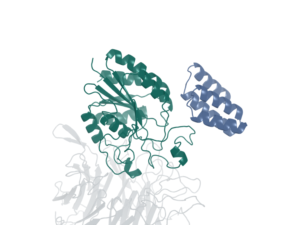 Integrin binder · design 3A. Blue: generated protein binder. Green: integrin β6. Gray: integrin αv.