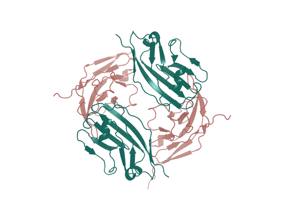 Deposited structure 2JJS. CD47 extracellular domain bound by SIRP-alpha.