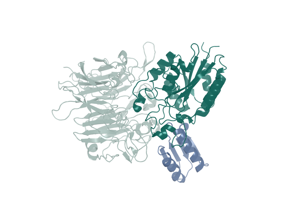 Published reference from Roy et al. (2023): integrin αvβ6 bound to B6_BP_dslf, a minibinder developed at the University of Washington’s Institute for Protein Design with collaborators. The team used Rosetta-based design, affinity optimization and disulfide stabilization.
