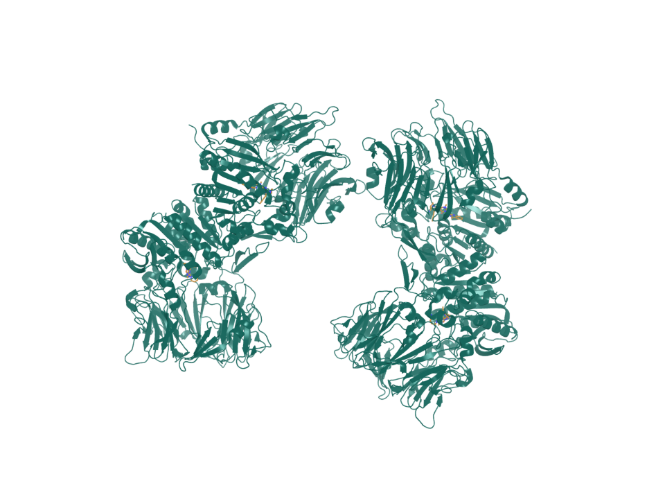Deposited structure 6Y0F. The deposited asymmetric unit contains four FAP copies and linagliptin.