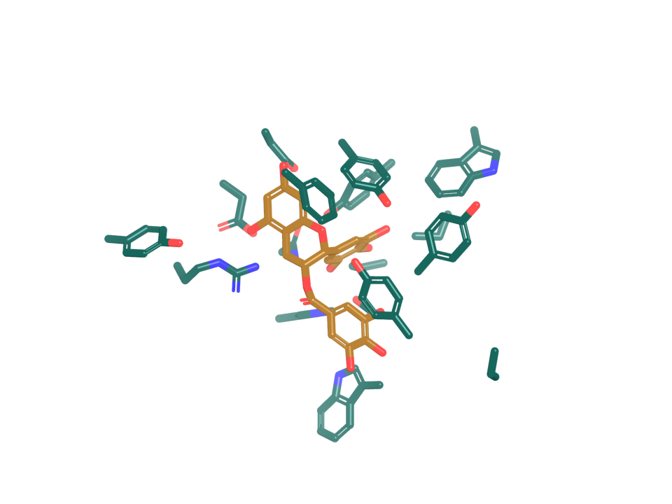 Computational docking into FAP. EGCG (NP011), seed 11, pose 1; protein side chains within 5 angstroms are shown as sticks.