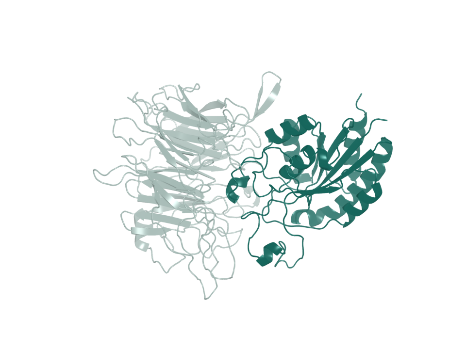 Target-only coordinates derived from deposited structure 8TCG. The design input retains alpha-v chain A and beta-6 chain B.