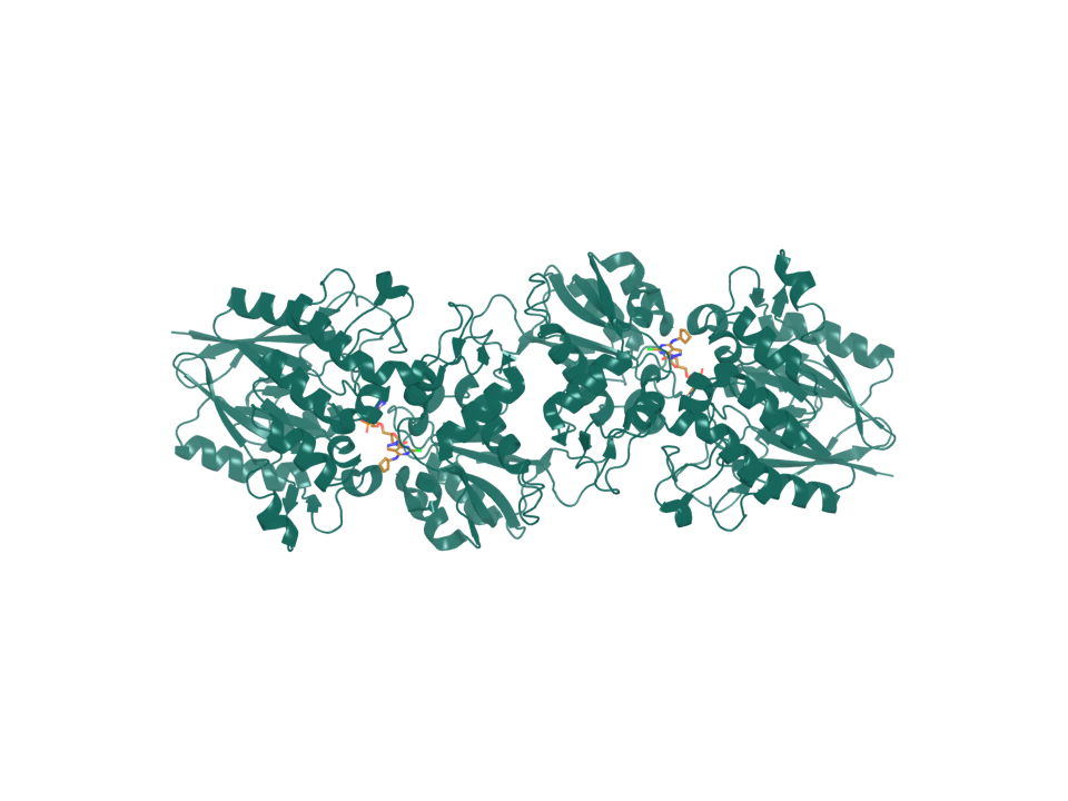 Deposited structure 9R0G. CD73 ectodomain bound by compound 21.